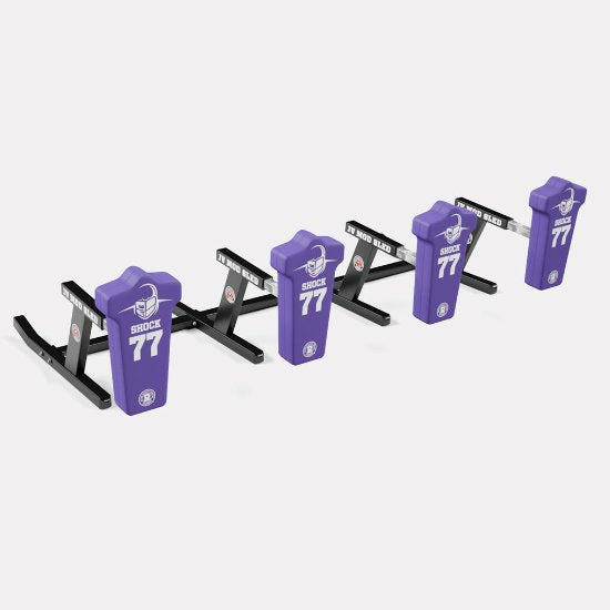 Rogers 4-Man JV Mod Sled