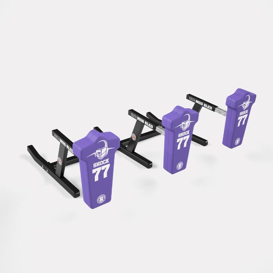 Rogers 3-Man Youth MOD Sled