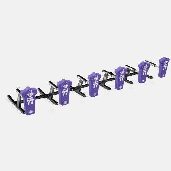 Rogers 6-Man JV Mod Sled
