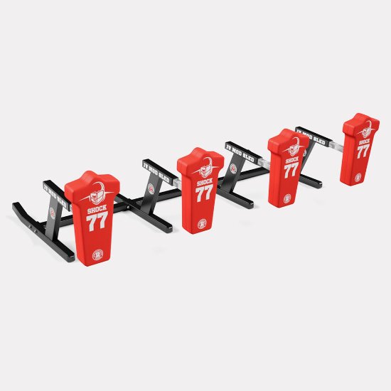 Rogers 4-Man JV Mod Sled
